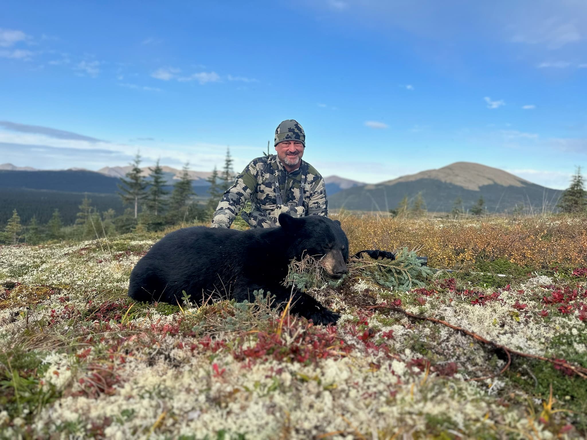 Black Bear
