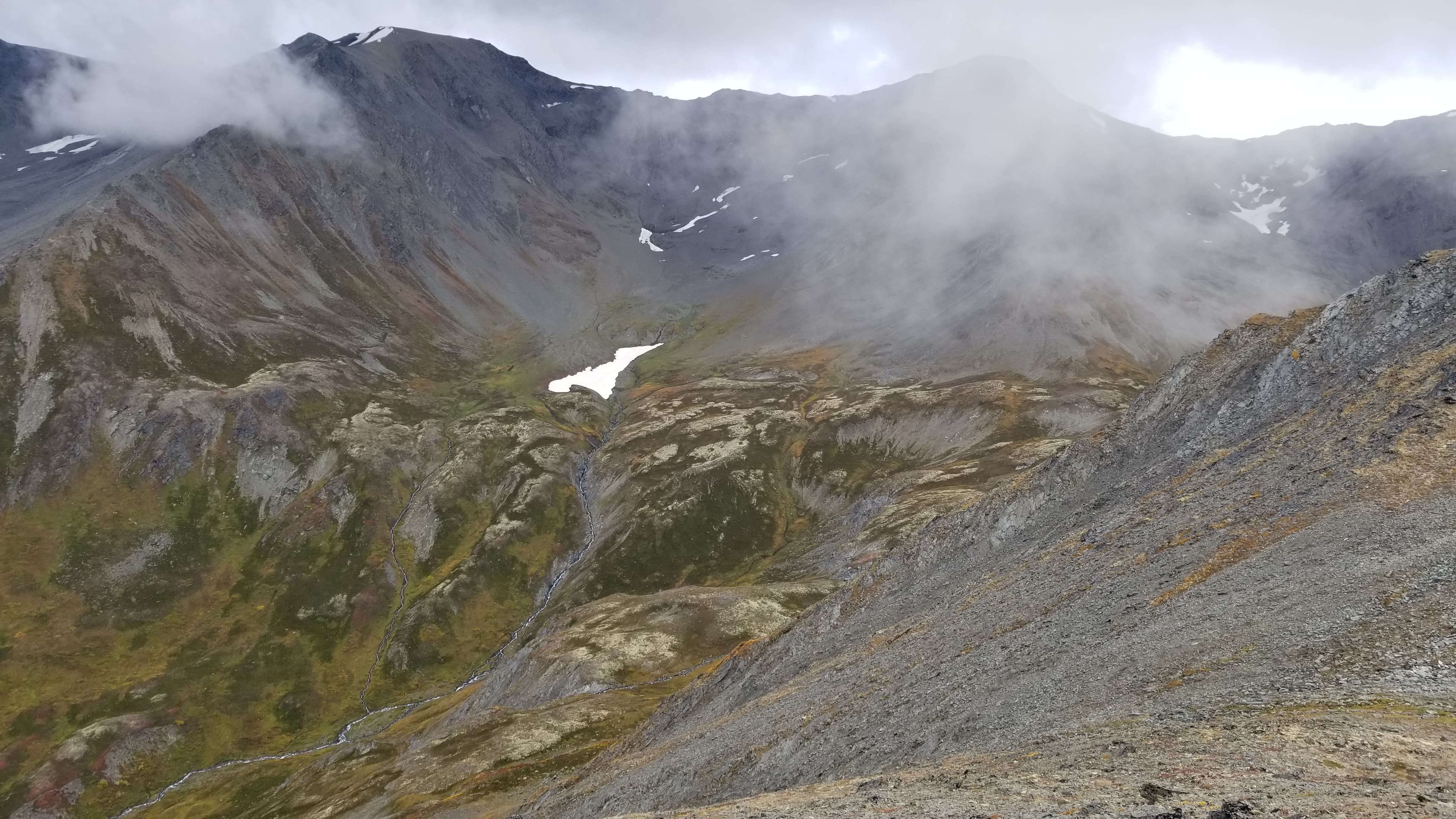 Alaska alpine valley in fog