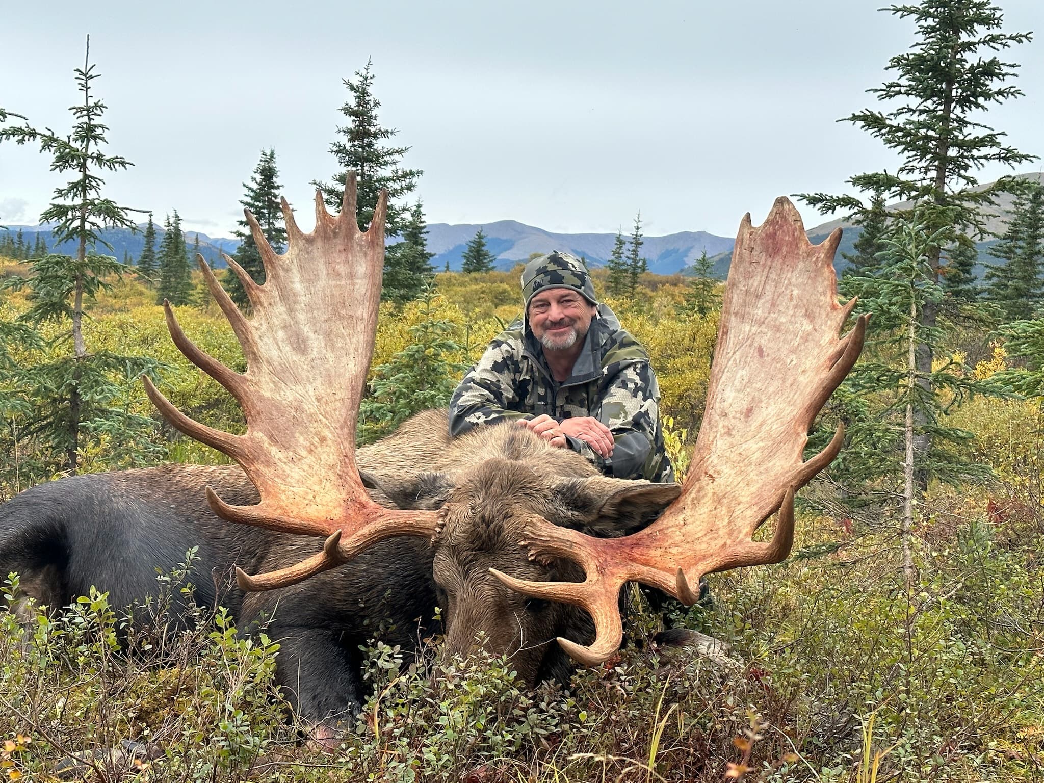 Moose Hunts